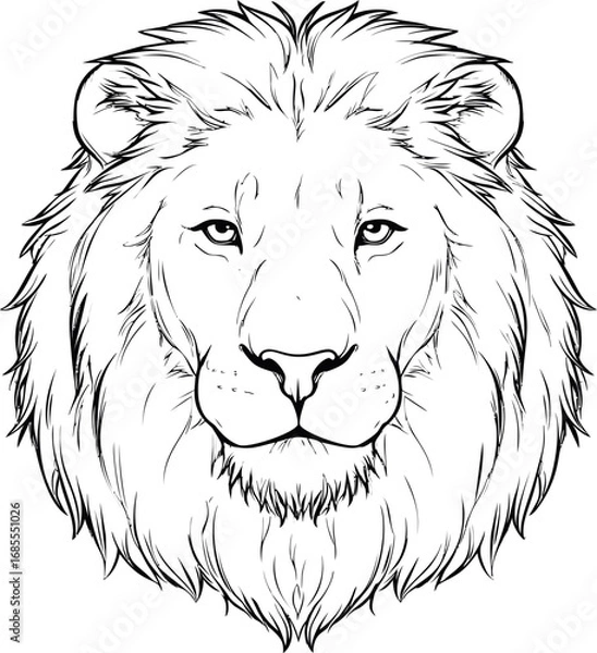 Fototapeta Black and white line sketch drawing of a lion's face with detailed fur mane. Vector illustration