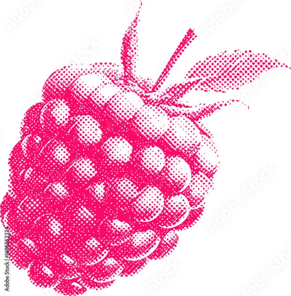 Fototapeta Halftone pink raspberry illustration with detailed texture on white background. Vector illustration