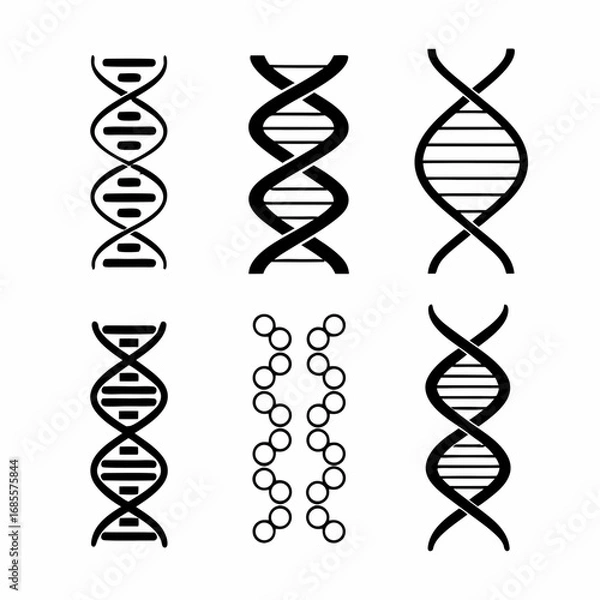 Fototapeta Collection of six different dna structures for science and biology concepts