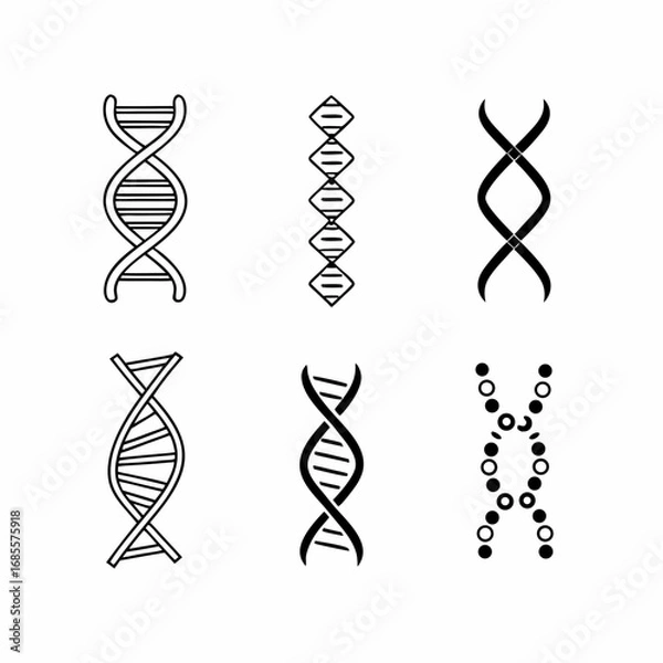 Fototapeta Collection of dna molecule illustrations featuring double helix and genetic code