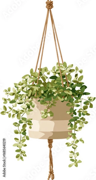 Obraz Hanging planter with trailing greenery (2)
