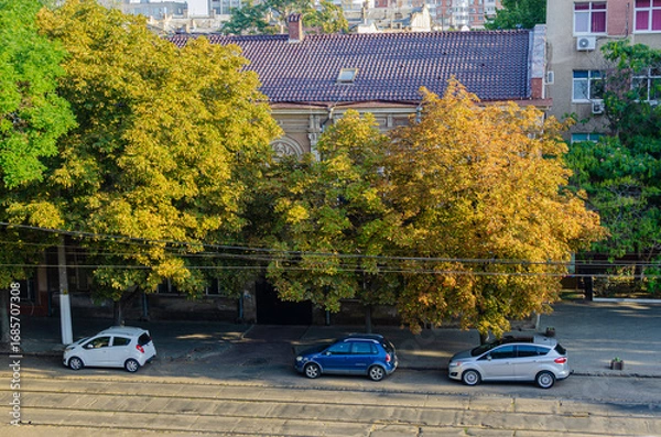 Obraz Street with classical architecture and chestnut trees