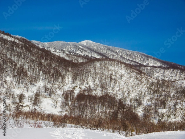 Fototapeta The Sekida Mountains on the border of Nagano and Niigata prefectures in the Japanese winter (Viewed from Togari Onsen, Nagano, Japan)