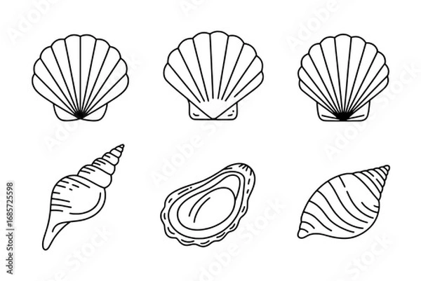 Obraz Six Seashells Line Art Icons: Scallops, Oyster, and Spiral Shells