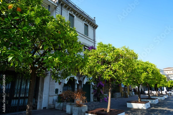 Obraz Orange trees with fruits at the promenade at Gardone Riviera, Italy