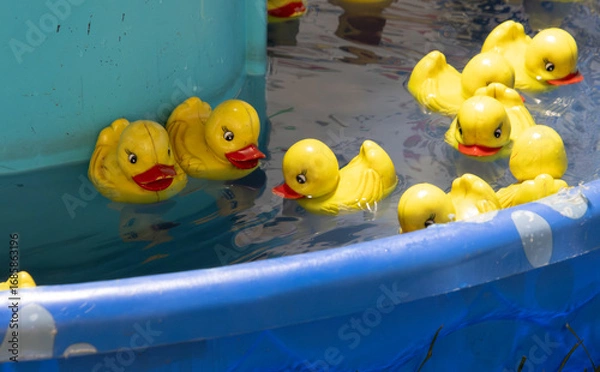 Obraz Pick Your Lucky Duck