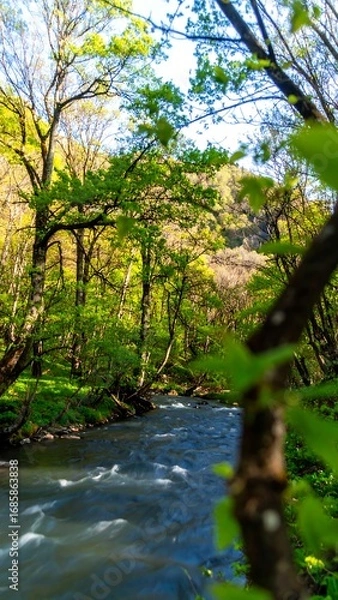 Fototapeta Spring creek flowing through lush forest