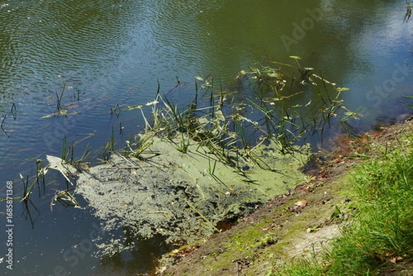 Fototapeta Am Ufer der Lippe