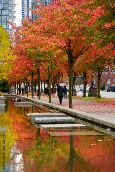 Fototapeta Pond and Urban Autumn Colors. A downtown street full of colorful autumn trees reflecting in a pond.
