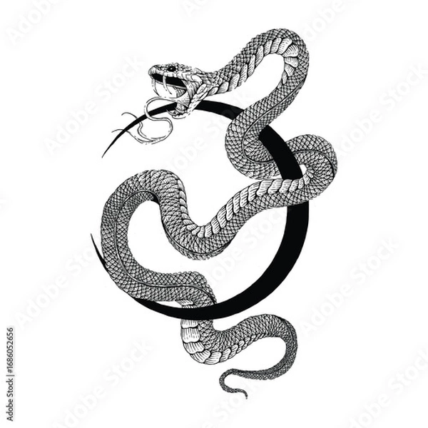 Obraz snake moon.eps