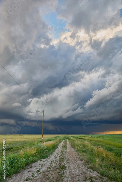 Obraz Blue sky with large white cumulus clouds