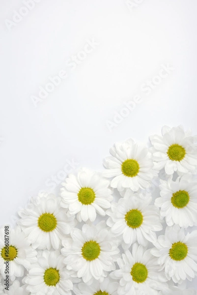 Fototapeta Diagonal floral frame with daisies on white background. Vertical flower banner. Selective focus and copy space