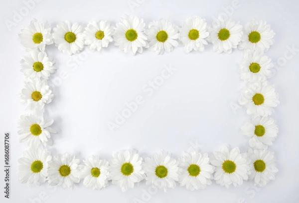 Fototapeta Flower frame of daisies on white background. Postcard blank. Selective focus and copy space