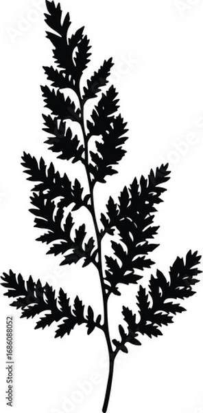 Fototapeta image_Black_Silhouette_of__seed726485_1756353440405_1