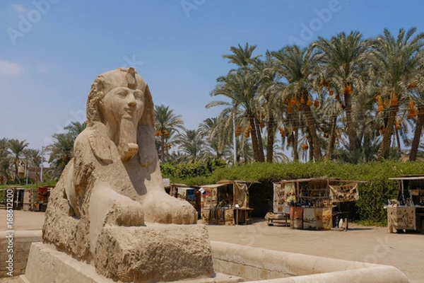 Obraz エジプト アラバスター製のスフィンクス  - Alabaster Sphinx of Memphis.  Egypt.