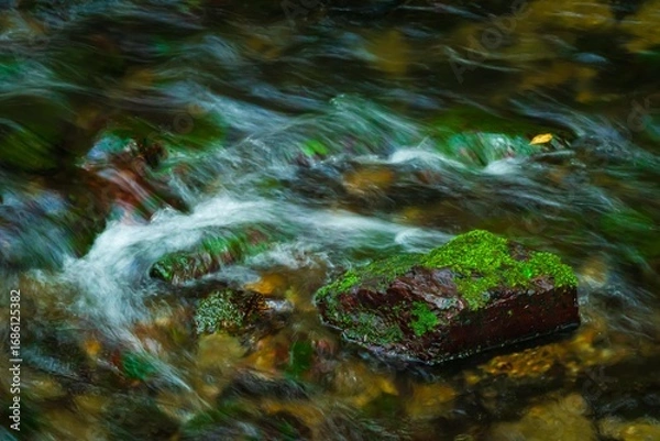 Obraz 沢に納涼を求めて