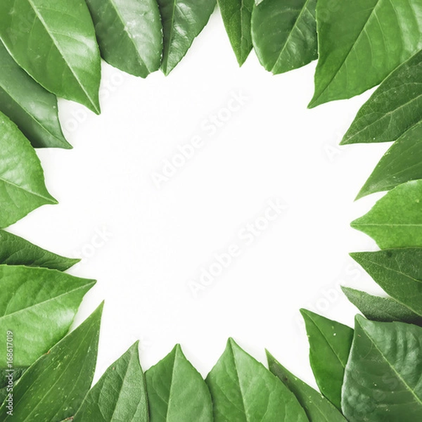 Fototapeta Round frame of green leaves. Creative layout of leaves on white background. Flat lay. Top view