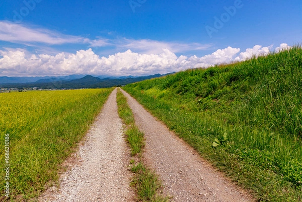 Obraz 夏空の下に広がる気持ちいい喜多方地方の田園風景