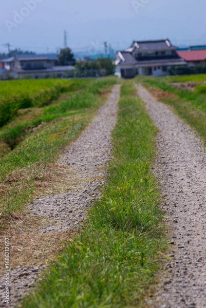 Obraz 夏空の下に広がる気持ちいい喜多方地方の田園風景