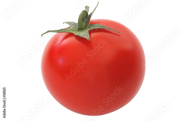 Obraz tomate