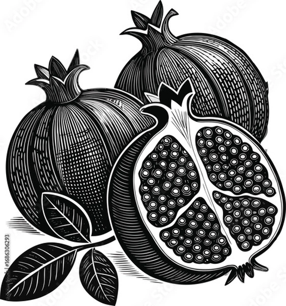 Obraz pomegranates line art design