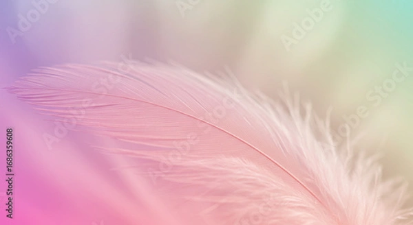 Fototapeta Delicate Feather Floating in a Dreamy Pastel Haze A Gentle Touch of Color and Lightness Unveiling Beauty