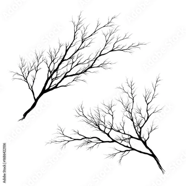Fototapeta Two stylized, frosted branches against black