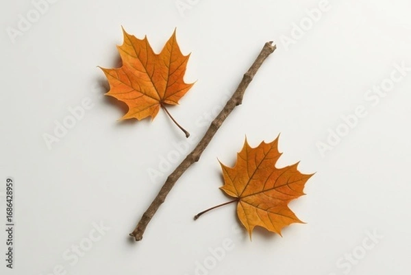 Fototapeta Autumn percent symbol made of twig and maple leaves on white background minimal concept for seasonal fall discount nature inspired promotion and eco friendly marketing visuals