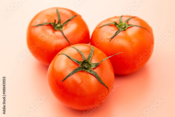 Obraz トマト　ピンク背景
