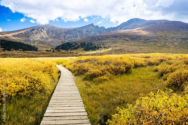 Obraz Colorado im Herbst