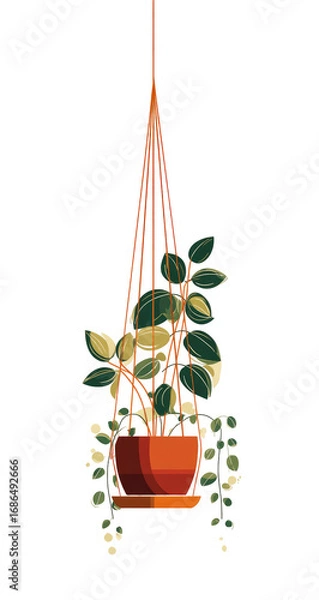 Obraz Hanging terracotta pot with plants.  Orange macrame