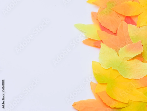 Fototapeta Fall leaves border with space for text