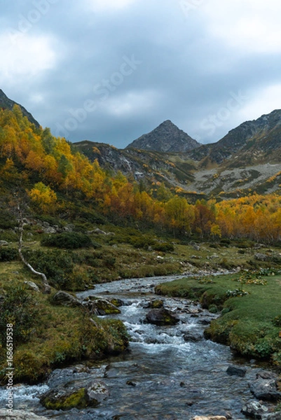 Obraz mountain river in autumn