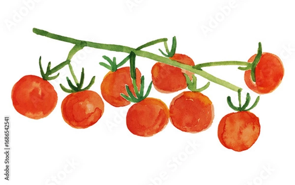 Obraz プチトマト　水彩画