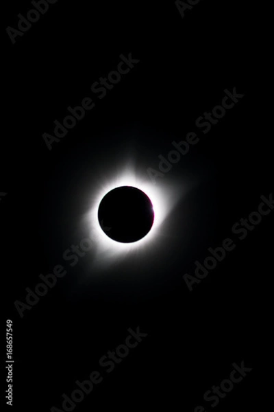 Fototapeta Solar Eclipse August 21st Total Eclipse 