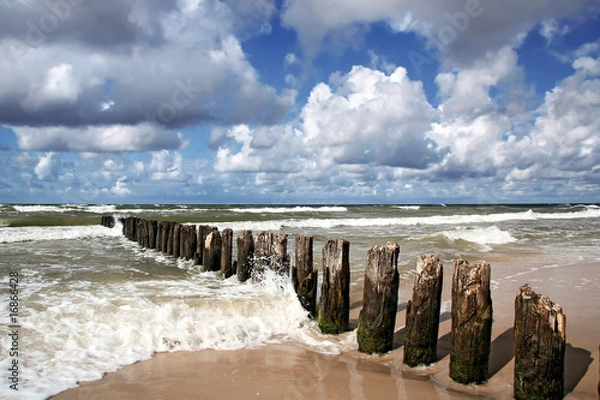 Obraz Windy day at seaside.