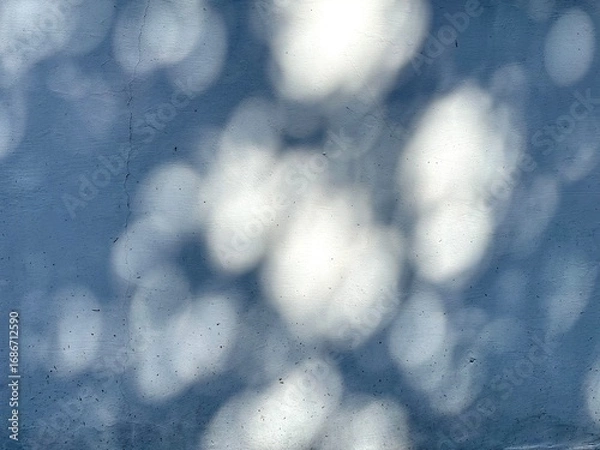 Fototapeta Wall of moving leaves, sunlight, natural shadows bokeh overlaid sways on a textured white grey empty background. Abstract texture. Shadows of tree leaves, natural light textures.