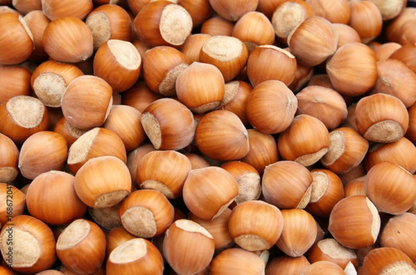 Obraz hazelnuts background