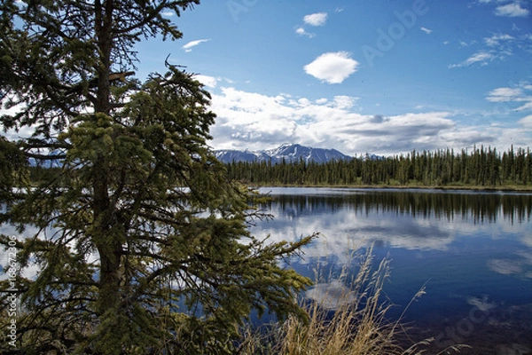 Obraz Hiking to a Lake in the Denali Valley