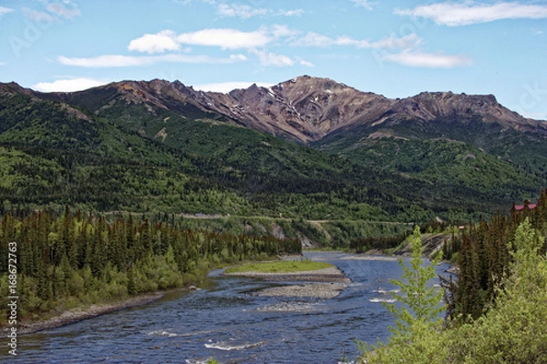 Obraz Summer in Delata, AK