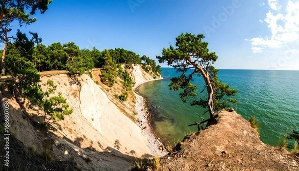 Obraz Coastal landscape with white cliffs and pine tree