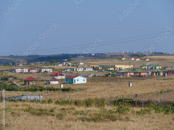 Fototapeta Houses of communities in rural Transkei, South Africa, on hills, surrounded by yellow grasslands which is used for grazing by cattle