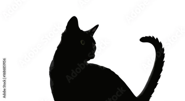 Fototapeta Minimalist Vector SVG Illustration of Black Cat Silhouette with Green Eyes in Flat Design Style