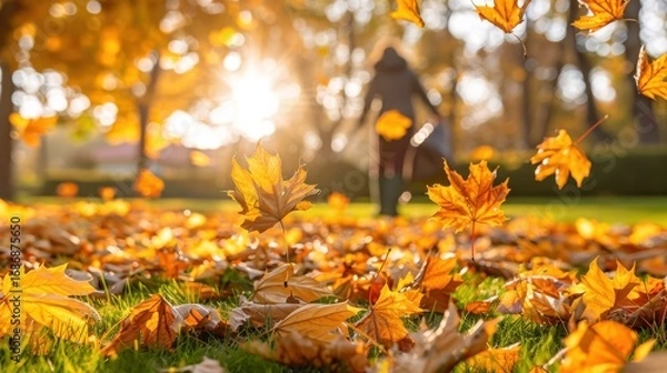 Fototapeta Golden autumn leaves falling on lush green grass in a sun-drenched park with a person walking in the warm glow