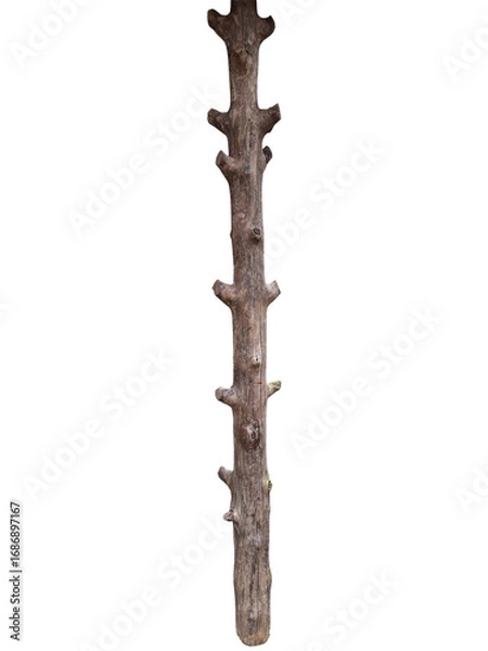 Fototapeta old rusty key