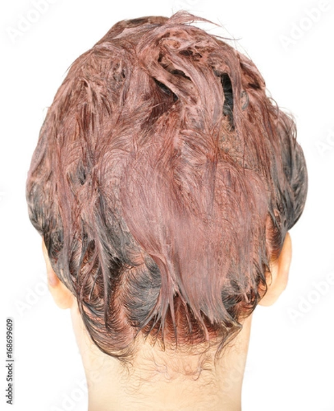 Obraz hair coloring in process