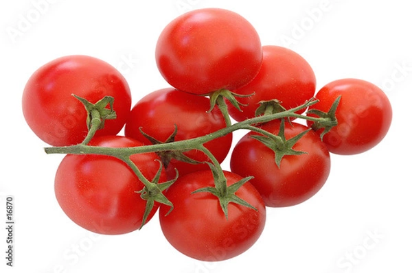 Obraz tomates cerise