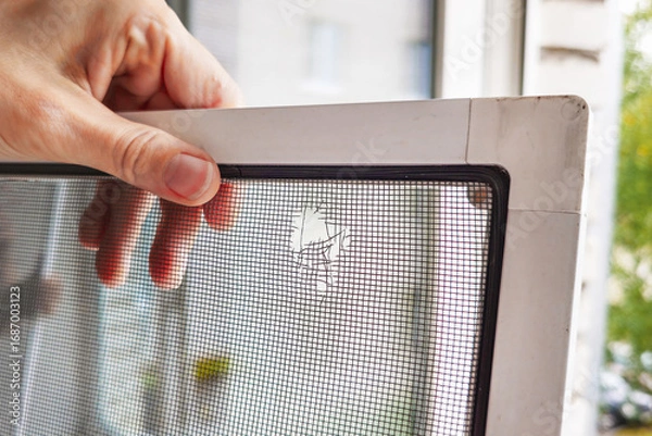 Fototapeta mosquito net on the window has a hole due