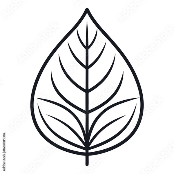 Fototapeta Simple single leaf outline on a clean white background