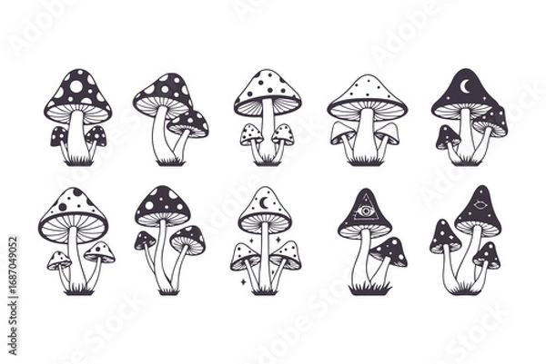 Obraz Magic Mushroom Vector Illustration Set